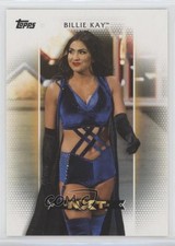 2017 Topps WWE Women's Division Roster Cards NXT Billie Kay #R-3 0g6b