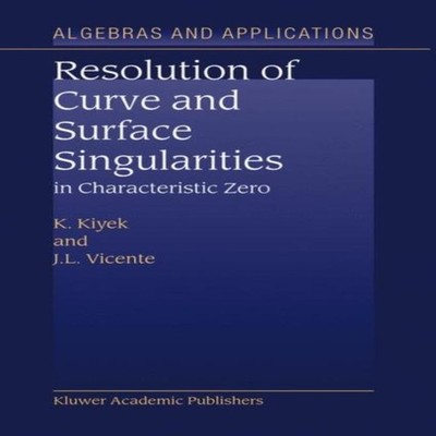 Resolution of Curve and Surface Singularities in Characteristic Z