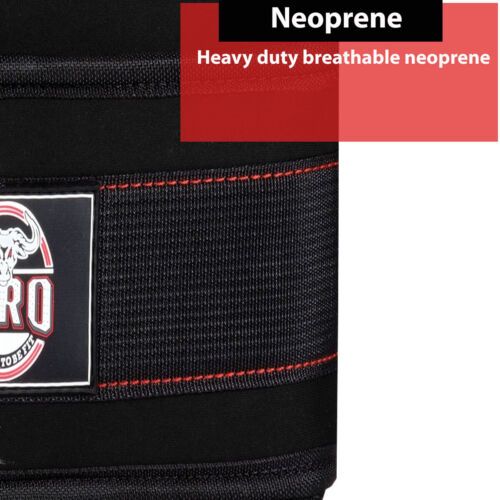 IBRO Advanced Fitness Dipping Cintura con Catena Lunga In Acciaio Resistente | Pesata - Foto 8 di 59