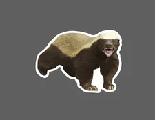 Honey Badger Sticker Wild Waterproof Animal Wildlife Gift Funny NEW