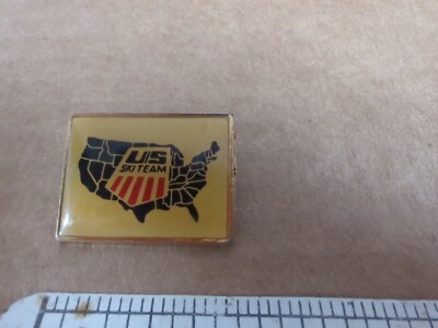 Vtg Lake Placid 1980 Olympics Winter Games US Ski Team Lodge Enamel Pin
