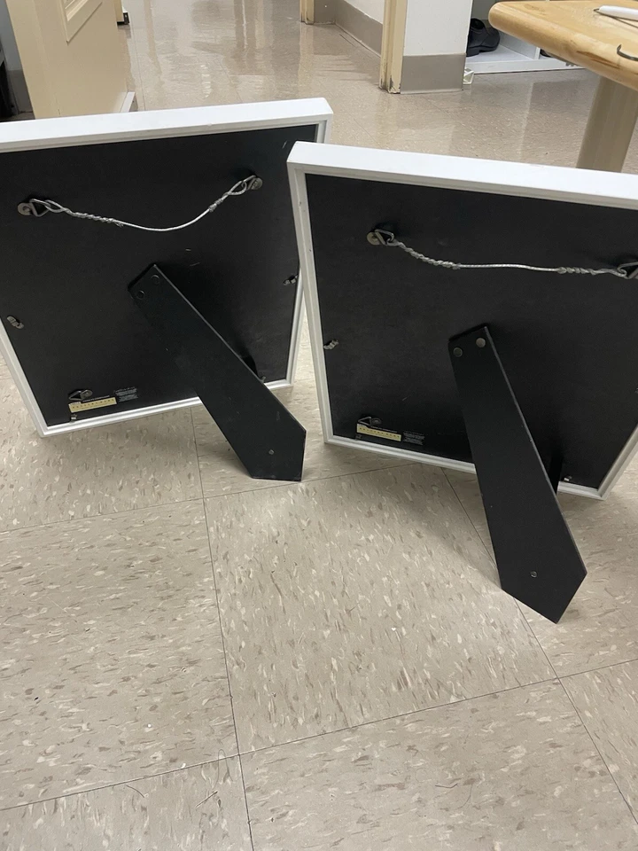 Pottery Barn 艺术品 2 件套粉色/灰色斑马和长颈鹿 17x14 英寸儿童房间装饰 — 第 4/4 张图片