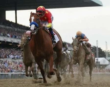 JUSTIFY 2018 BELMONT STAKES 8X10 GLOSSY PHOTO PICTURE IMAGE #5  TRIPLE CROWN