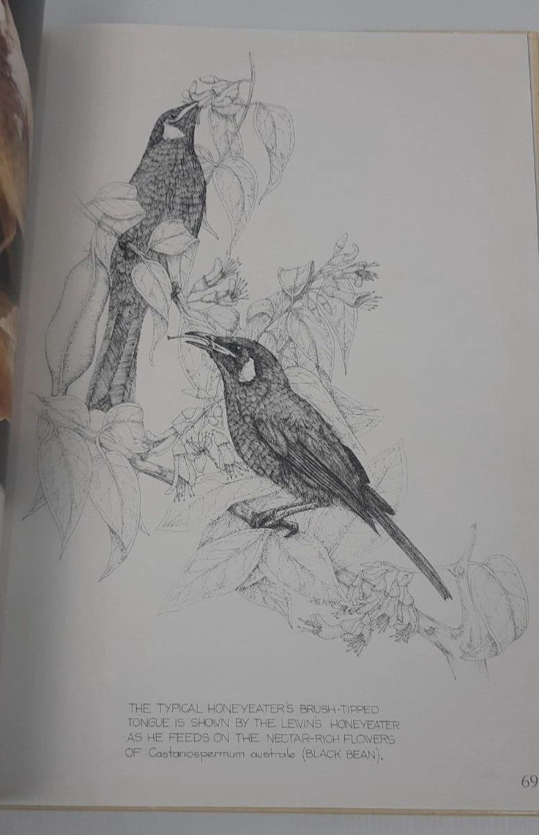 Picture 14 of 16