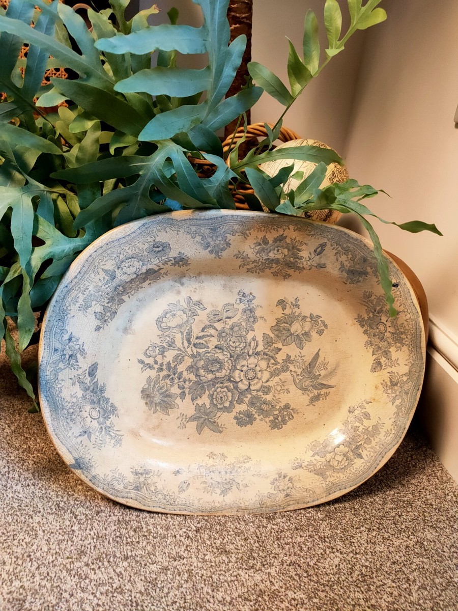 Green Asiatic Pheasants Plate 約22.5センチ4枚