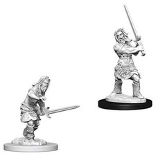 Pathfinder Battles Deep Cuts Unpainted Miniatures - Male Human Barbarian