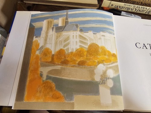 Cathelin Peintures 1982-1990 By Camille Bourniquel 1991 Hardcover Book - Picture 7 of 23