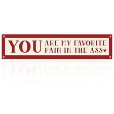 Valentines Day Decorations Banner for Home, Funny Love Quote Porch Sign, You