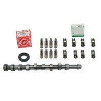 Nockenwellen Set FüR Peugeot Citroen 1.6 HDI 8V 104012 1685737 9684569080 090365
