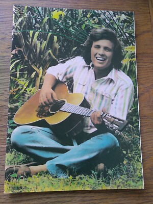 don mclean autumn tour 80 tour brochure