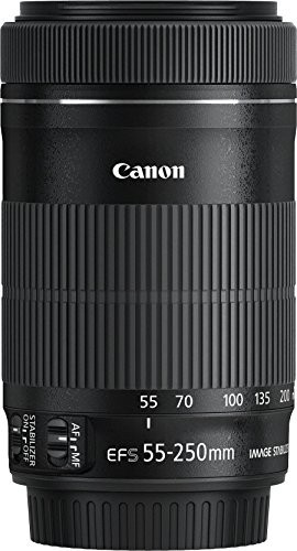 Canon EF-S 55-250mm f/4-5.6 IS STM for sale online | eBay