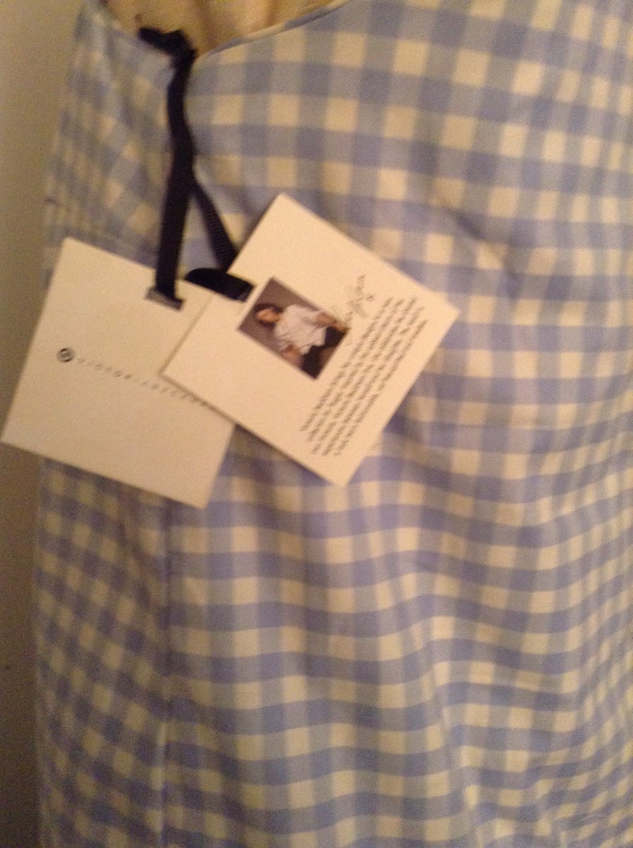 target blue gingham dress Dorothy Midi Dress