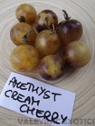 Tomate Amethyst Creme Kirsche 5+ Samen Erbstck WUNDERSCHNE RARITT P 010