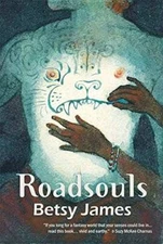 Roadsouls - Paperback By Betsy James - GOOD