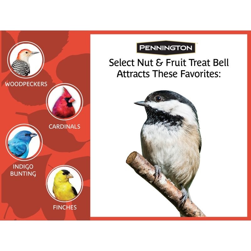 Pennington Nut and Fruit Treat Bell, Wild Bird Feed and Seed, 15 oz 2pk