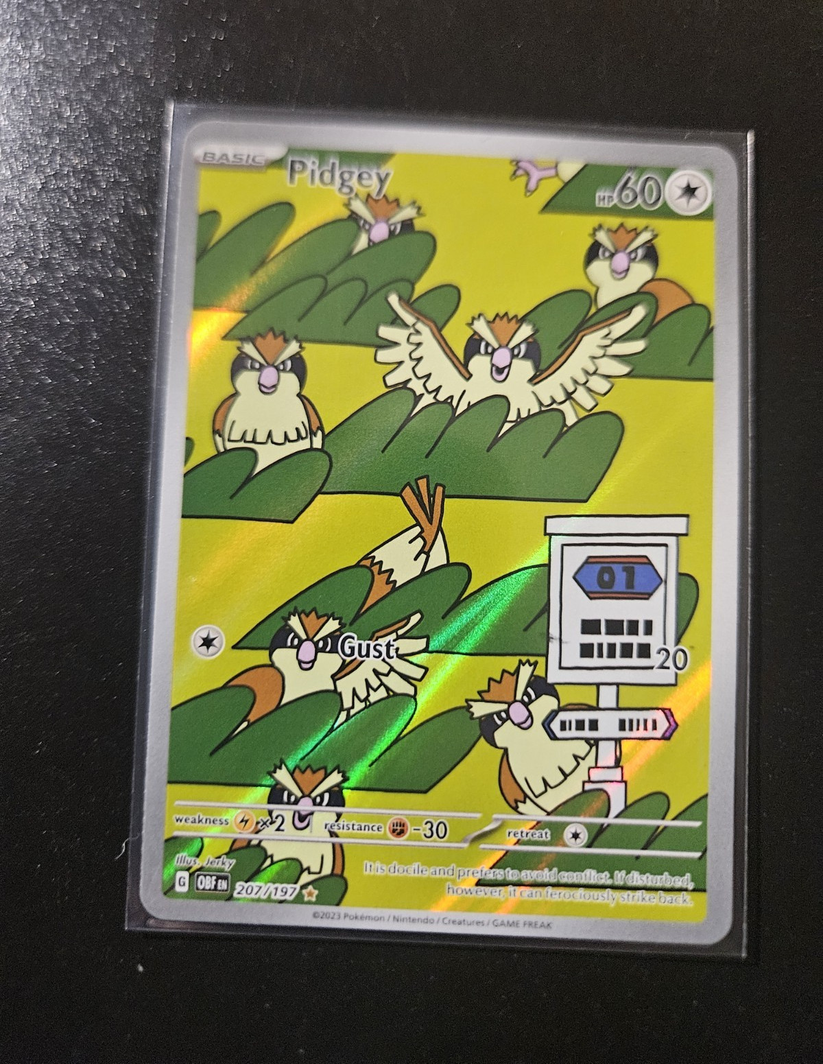 The Pokémon Company Pokémon TCG Pidgey 207/197 Obsidian Flames IR Holo ENG 2023