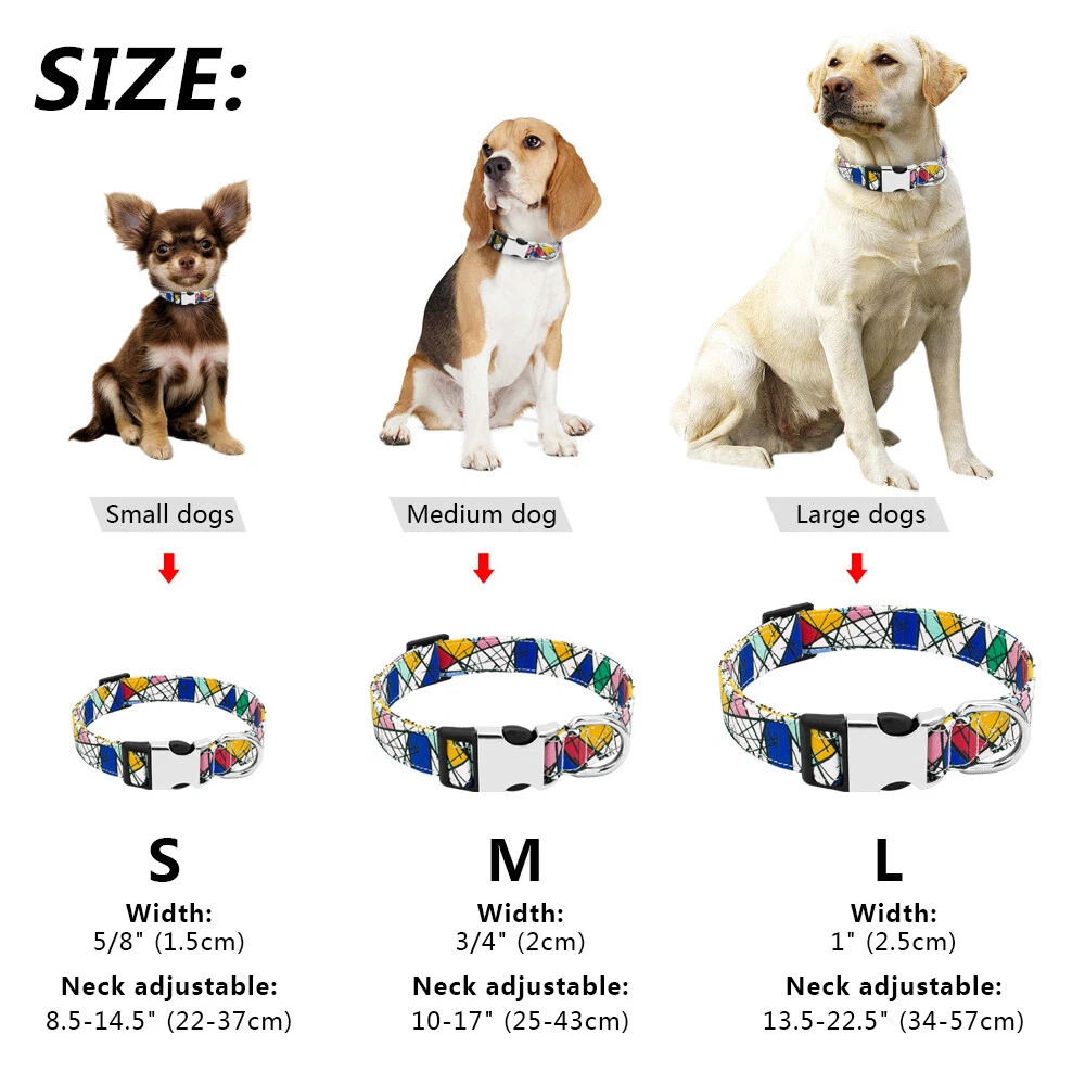 Small medium sale large dogs