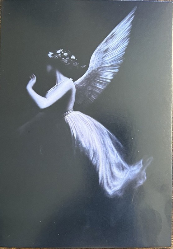Black White Woman Wings White Dress Postcard PC231 Ephemera Card Wall Art