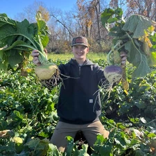 Purple Top Turnips, Food Plot Seed, 1/2 Acre, Brassica, 3lb, Easy to Plant