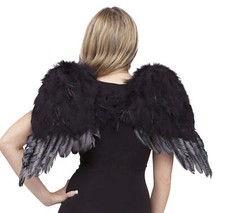Angel Wings Feather Child Black - Fun World