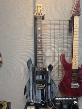 PRS SE Swamp Ash Sandblasted