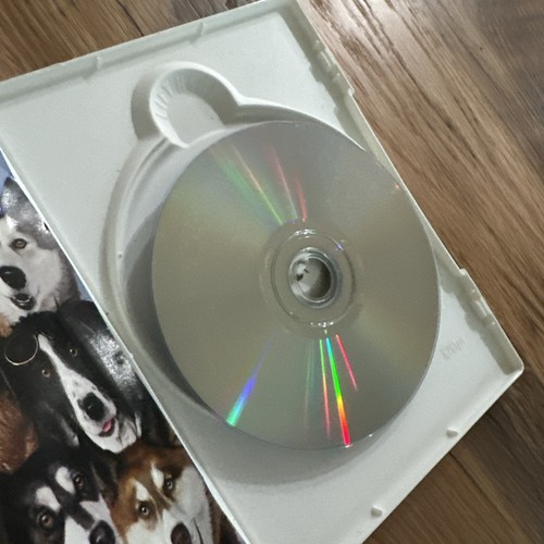Snow Dogs Disney DVD Tested Working Cuba Gooding Jr Family - Foto 6 di 6