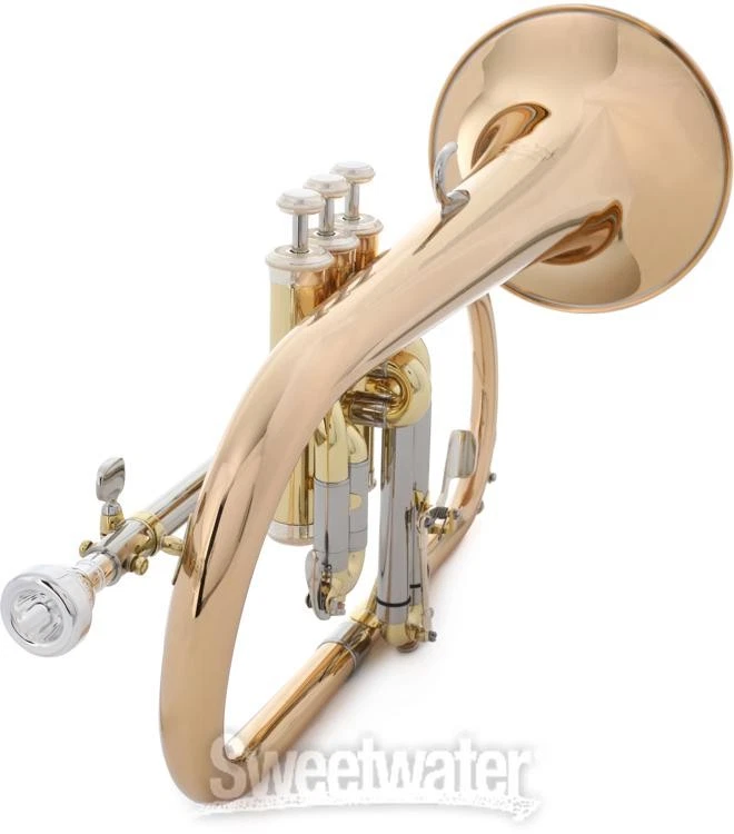 Yamaha YFH-631G Profesional Bb Flugelhorn - Laca Transparente con Campana de Latón Dorado Foto 3 de 4