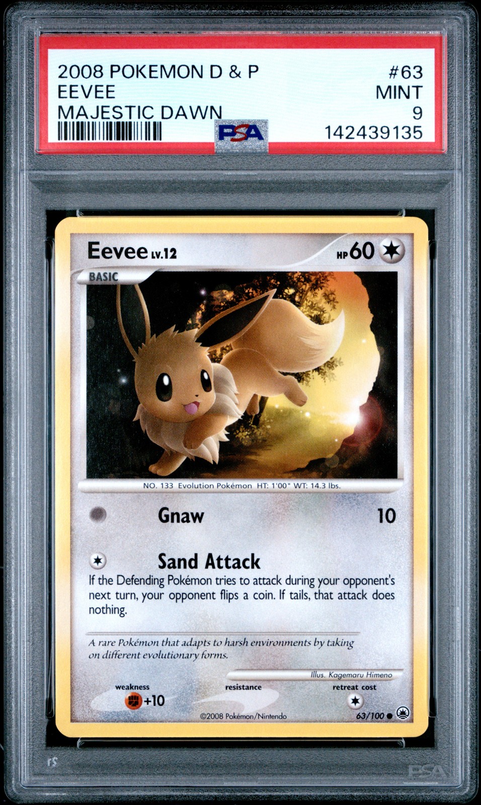 Eevee #63