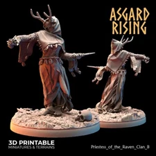 Priestesses of the Raven Clan B Miniature DnD D&D Pathfinder RPG