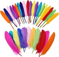 iHUFeather 270pcs Colorful Goose Feathers for Crafts 2 Styles Multicolored 
