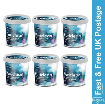 6x Clean Tabs Puriclean Wasseraufbereitung Aufbereitung 100g Wassersystemreiniger