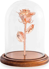 Enchanted Preserved with Real Gold Dipped Rose Lasts Forever  Includes Wood Bas