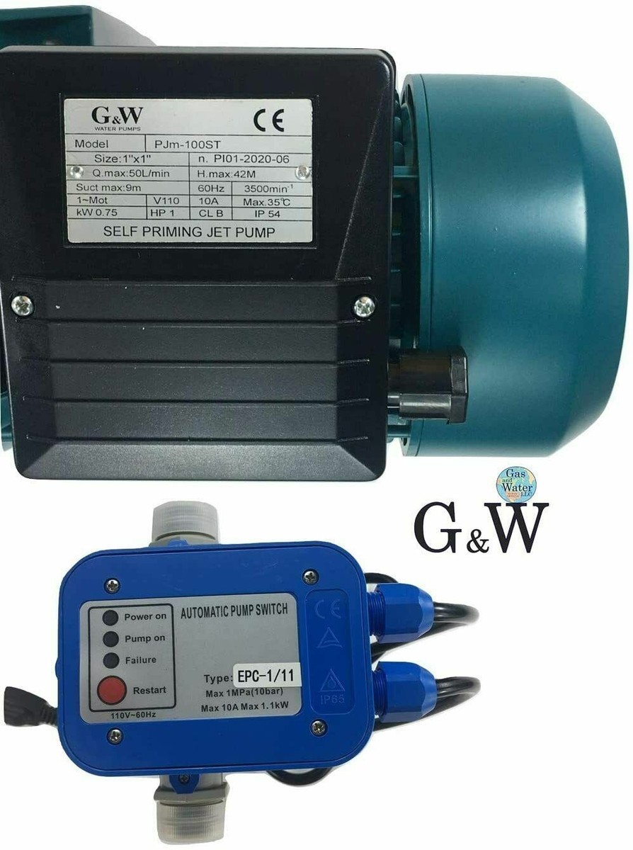 Gu0026amp;W 1 HP 110 V Tankless Shallow Well JET and Booster Pump With Smart  Controller | eBay