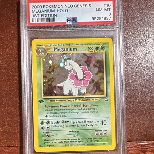 Meganium (1st Edition) graded PSA 8 for sale on eBay