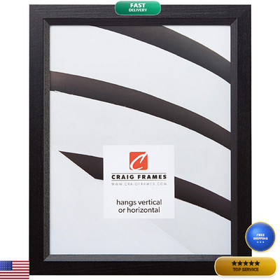 Craig Frames 7171610Bk 16 By 24-Inch Poster Frame Wood Grain Finish 0.825-Inch