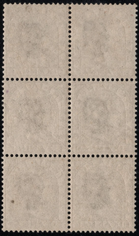 INDIA QV 1876 BLOQUE 6 AN MNH - 6 SC#A14/33/BISTER/WMK CABEZA DE ELEFANTE/CV $60 Foto 2 de 4