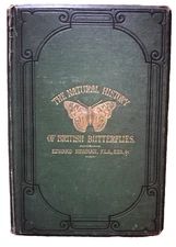 British Butterflies Natural History Edward Newman 1874 Antique Illustrated Book