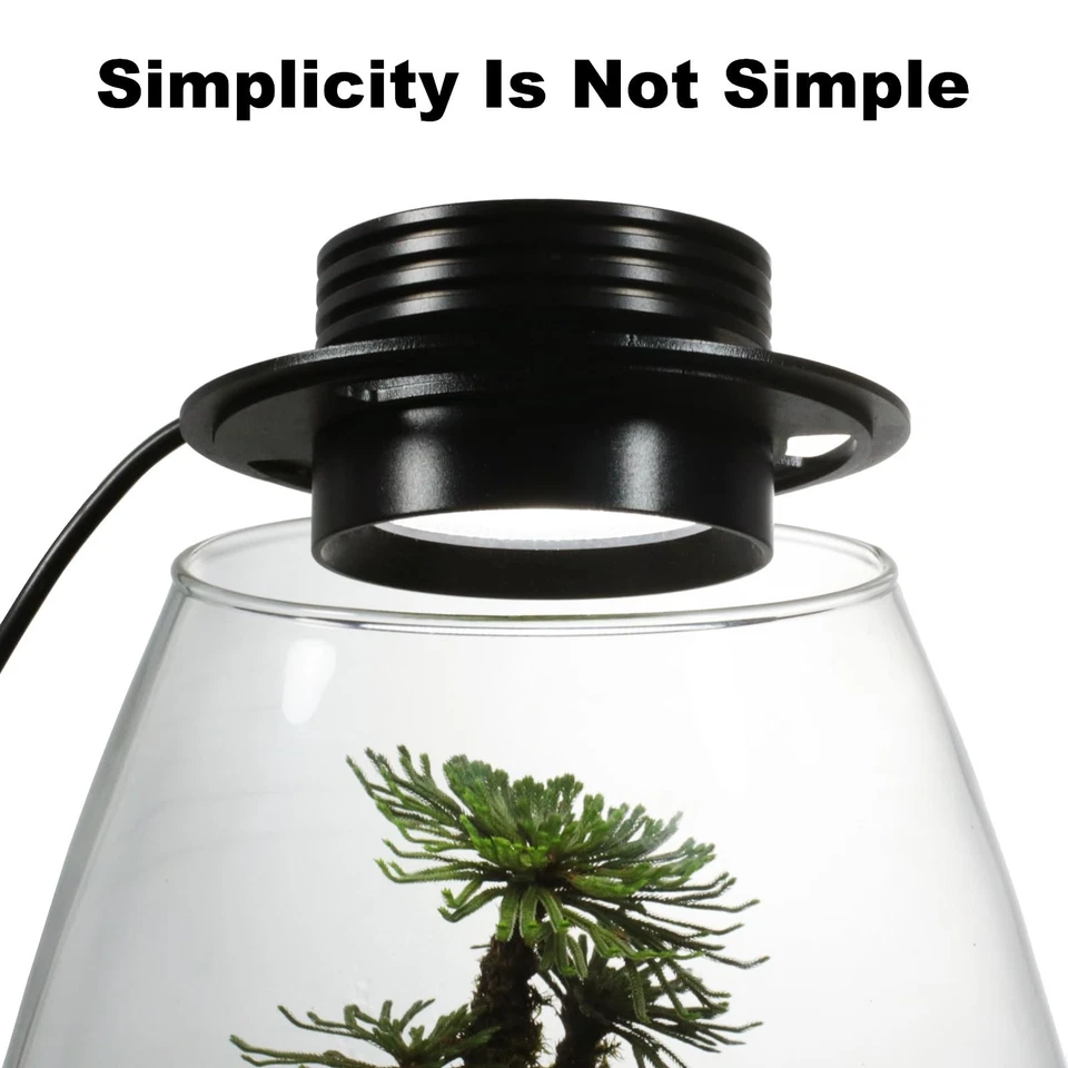 Lámpara de cultivo de plantas de terrario de vidrio, para jarrones de hasta 4 pulgadas de diámetro, lig... Foto 2 de 4