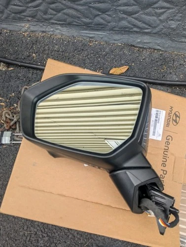 W/Camera! 2023 2024 2025 Hyundai Palisade Mirror LH Front Left Driver Side OEM
