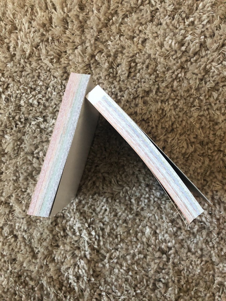 Lot of 2 Paper Crafting Scrapbooking 180 Sheet Pads Partially Used eBay