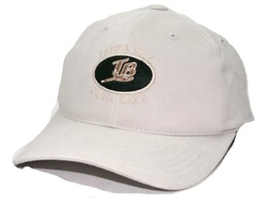 tampa bay rays dad hat