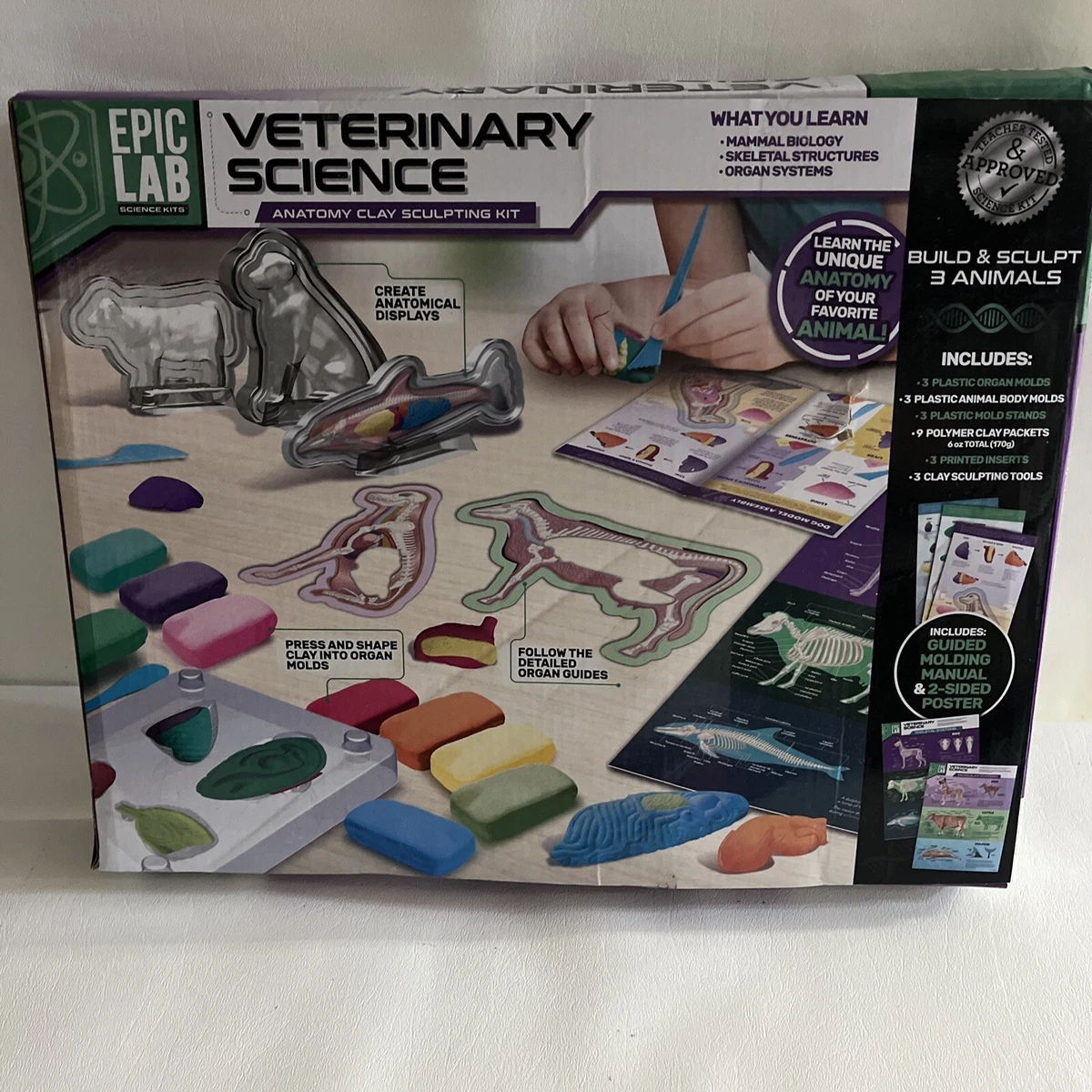 Epic Lab Veterinary Science Anatomy Clay Sculpting Kit PA-7541 Ages 8+ 2021  NOS