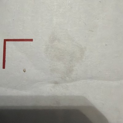 CD Test