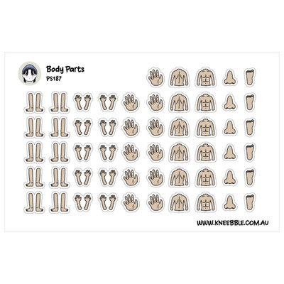 Body Parts Planner Stickers   Detailed Anatomy Study & Workout Tracking Labels