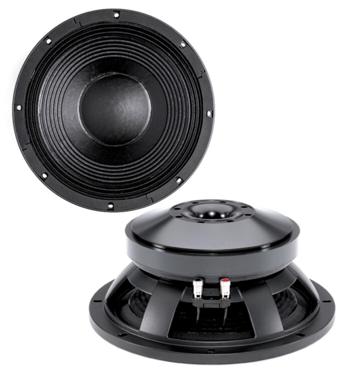B&c 12 Woofer 2x B&C 12TBX100 12