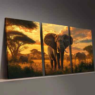 3pcs Grassland Natural Sunset Scenery Elephant Wall Art Canvas Unframed/Framed