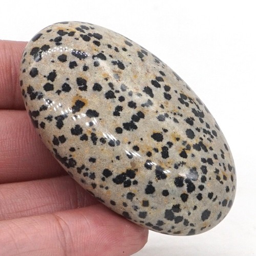 Natural Gemstone Dalmation Jasper Clinozoisite Palm Stone Massage Healing Reiki - Imagen 5 de 7