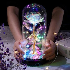 Rose Flower In Glass Gift For Women Wife Her Girlfriend Birthday Valentines Gift