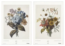 Pierre Joseph Redoute Seasons Flowers Botanical Set of 2 14x20 in