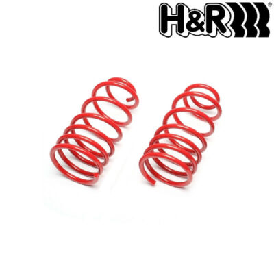 『・・・』 H&R Lowering Springs Citroën ZX Type N2 - 29900-1 | Progressive Parts